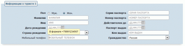 Всплывающие подсказки при заполнении полей с данными туриста